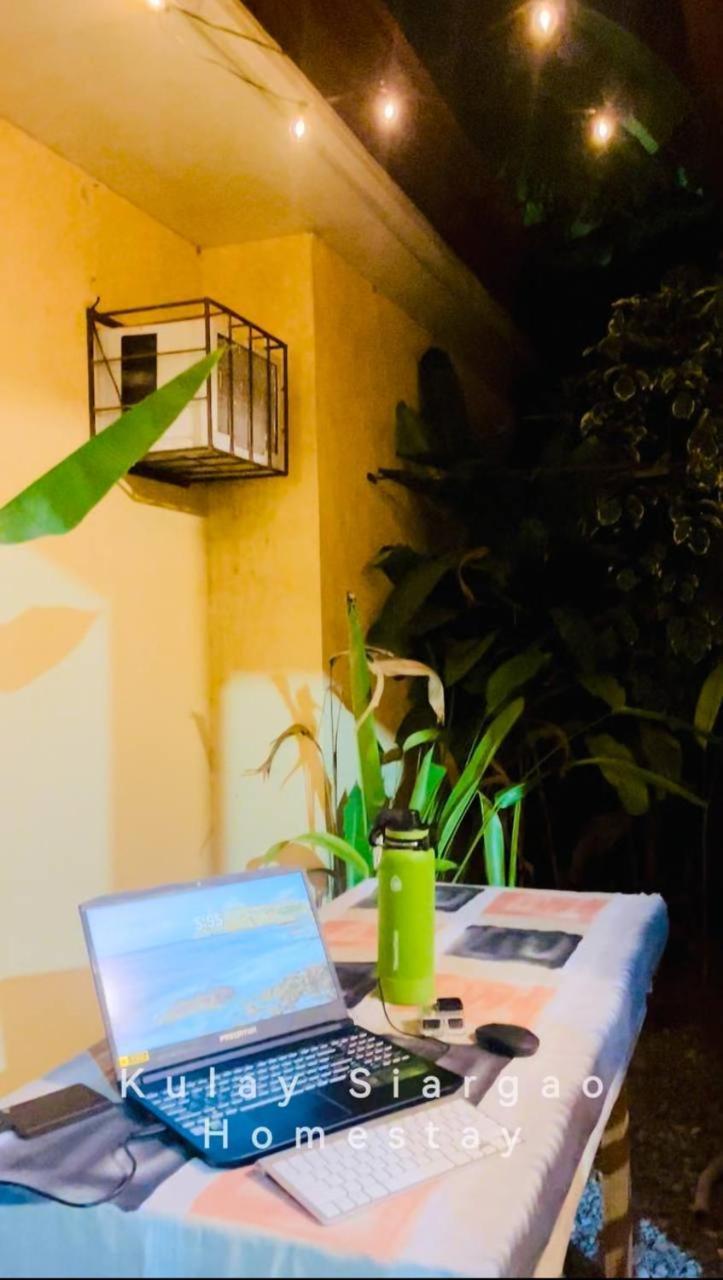 Ameeza Houze Homestay - Siargao General Luna  Bagian luar foto