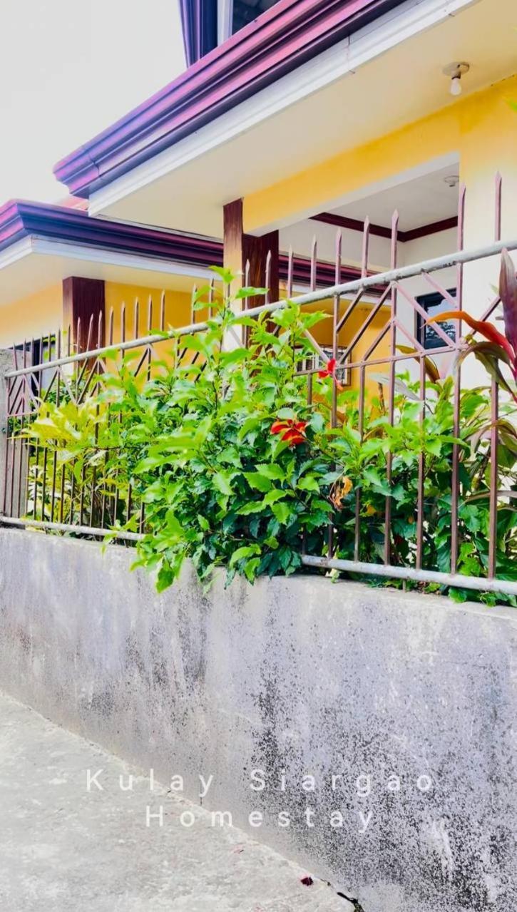 Ameeza Houze Homestay - Siargao General Luna  Bagian luar foto